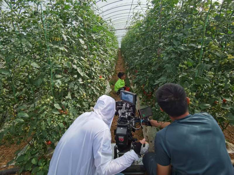 盱眙县产品宣传视频拍摄公司进阶指南，助力品牌抢占传播高地